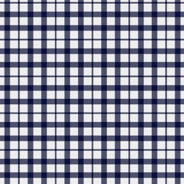 Blue Gingham